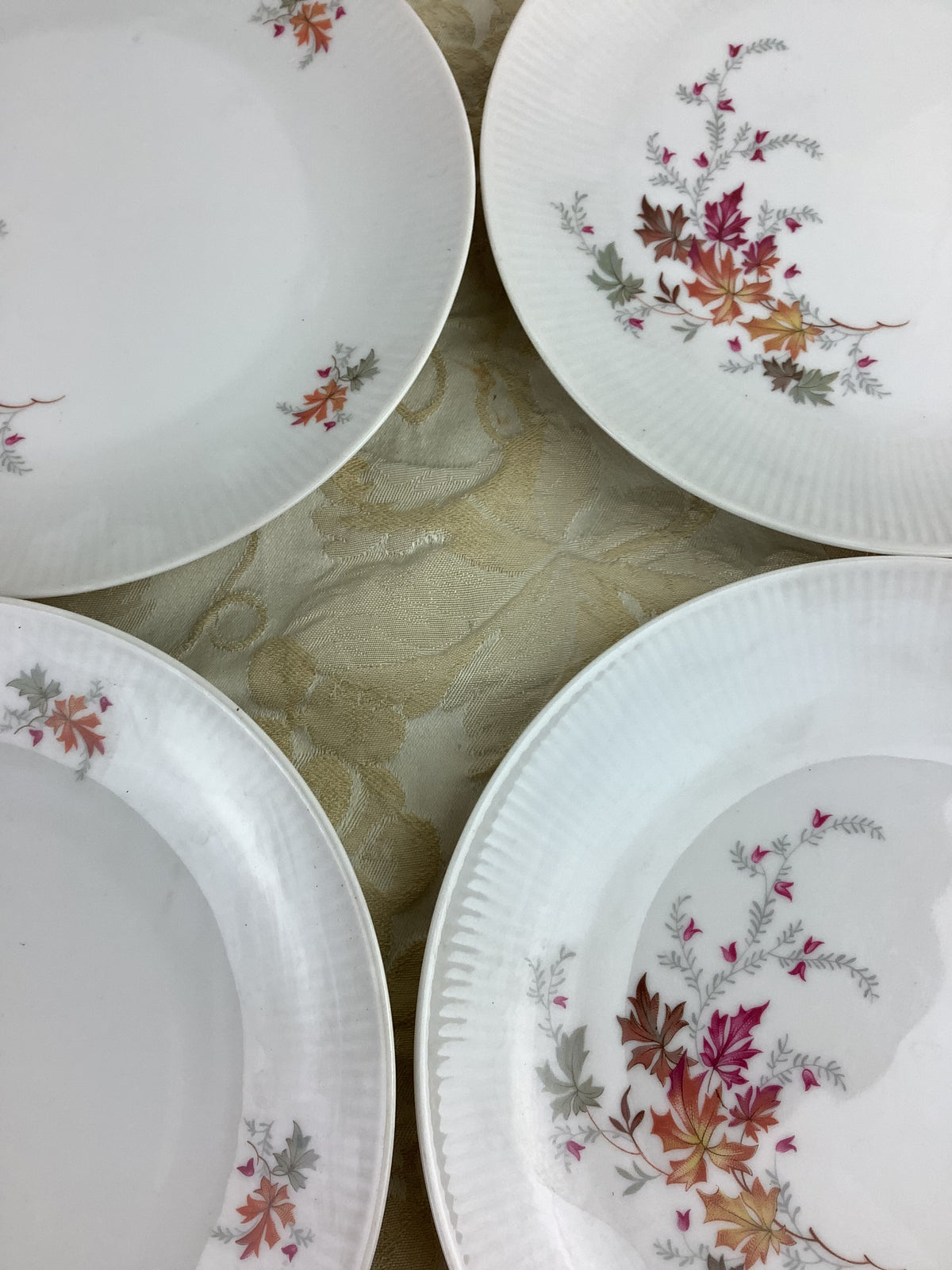 Lot de 6 assiettes à dessert anciennes en porcelaine Schumann Bavaria Germany, décor de feuillages d’automne – Réf. 15R