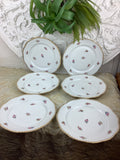 6 Assiettes plates anciennes Porcelaine Limoges France
