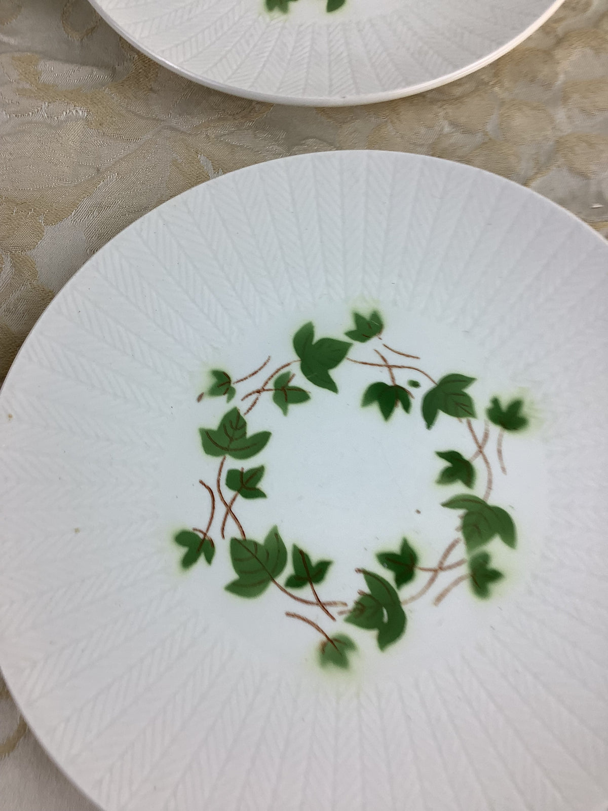 Lot de 6 assiettes à dessert vintage Céranord Saint-Amand, décor guirlande de lierre – Réf. 14D