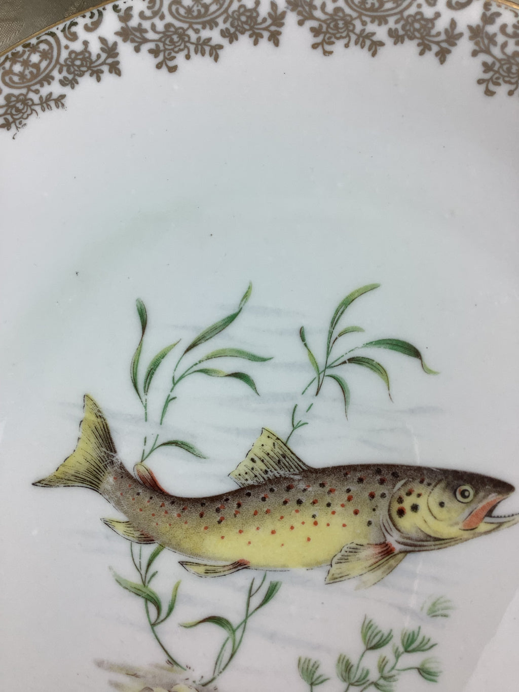 6 Assiettes plates anciennes Porcelaine France