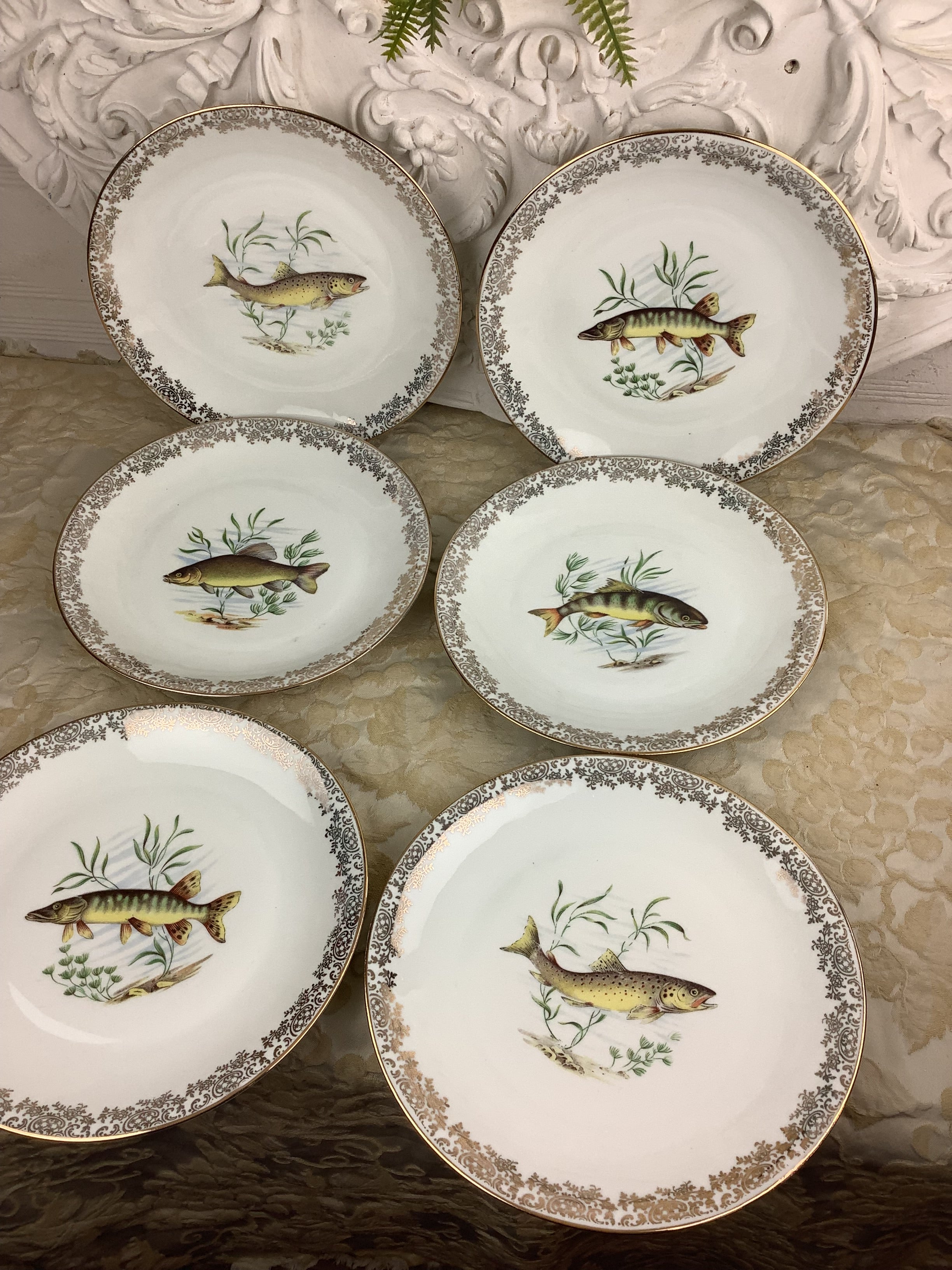 6 Assiettes plates anciennes Porcelaine France