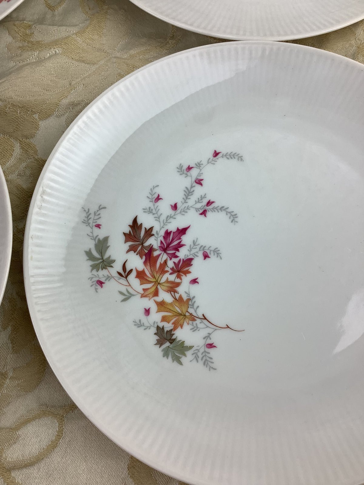 Lot de 6 assiettes à dessert anciennes en porcelaine Schumann Bavaria Germany, décor de feuillages d’automne – Réf. 15R