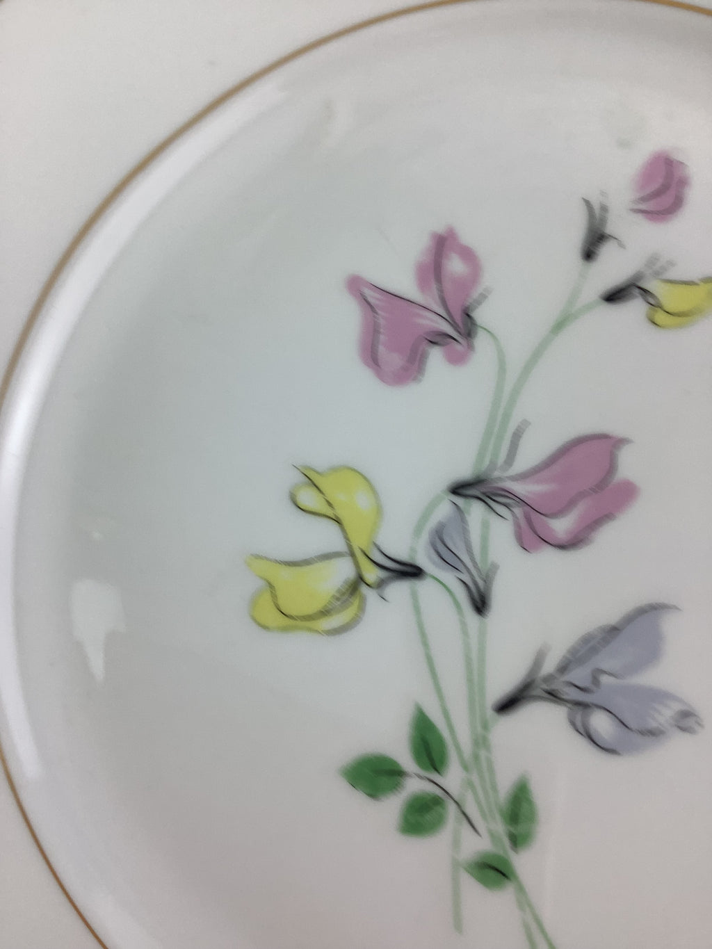 6 Assiettes plates anciennes Porcelaine de Limoges France
