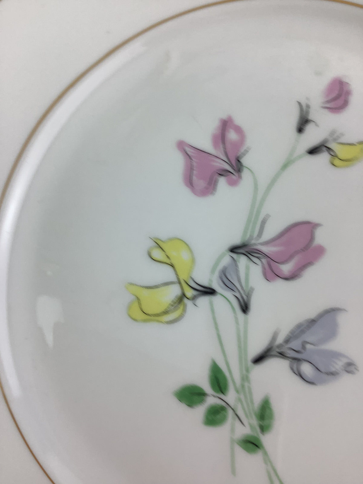 6 Assiettes plates anciennes Porcelaine de Limoges France