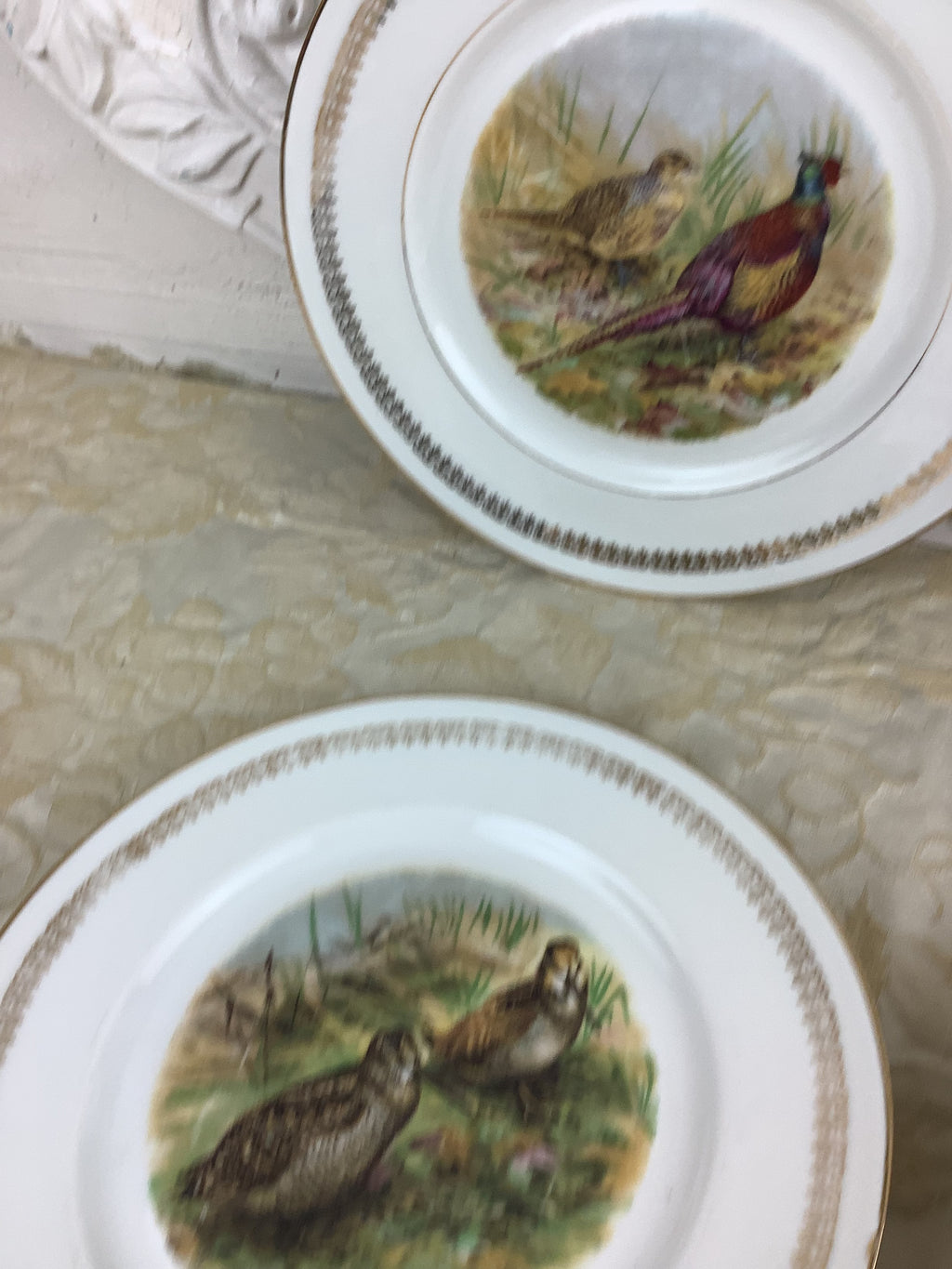 4 Assiettes plates en porcelaine de Limoges France décor gibier/chasse