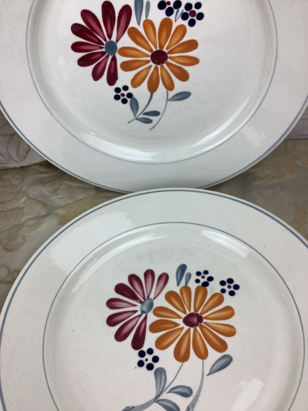 6 Assiettes plates anciennes Salins France -Ref 25X