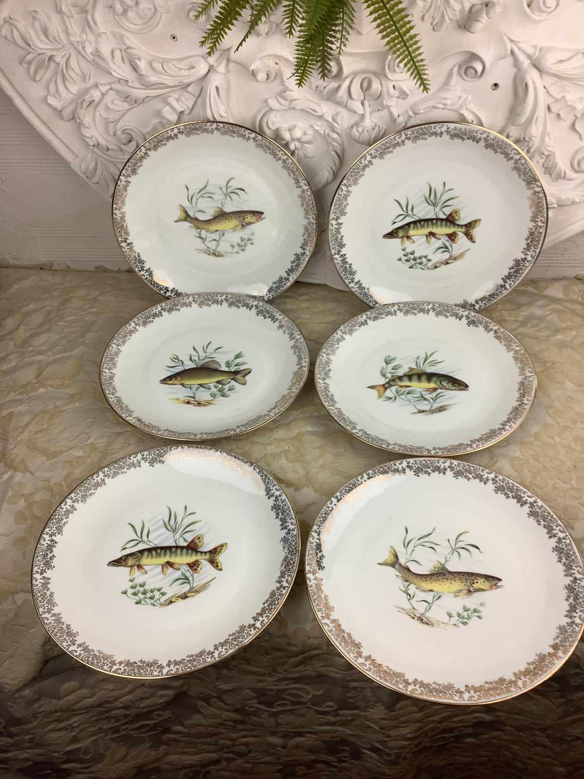 6 Assiettes plates anciennes Porcelaine France