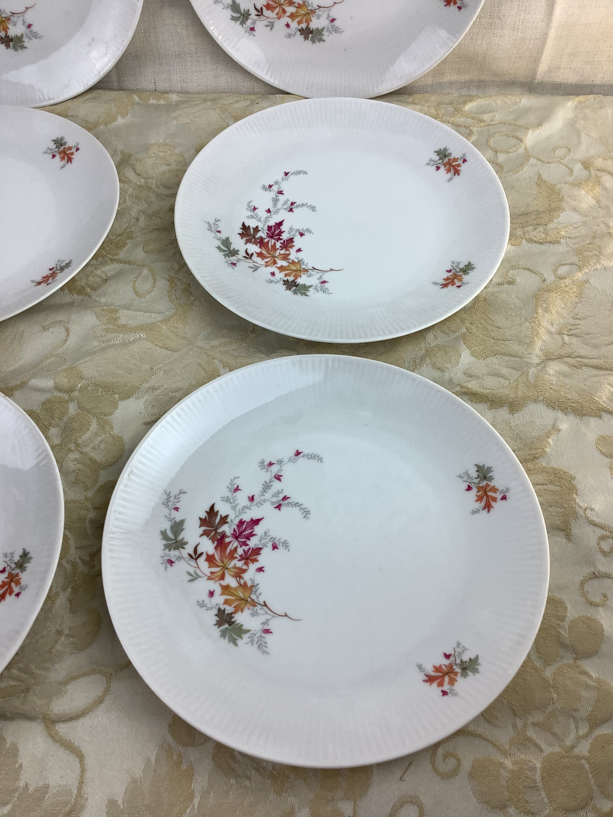 Lot de 6 assiettes à dessert anciennes en porcelaine Schumann Bavaria Germany, décor de feuillages d’automne – Réf. 15R