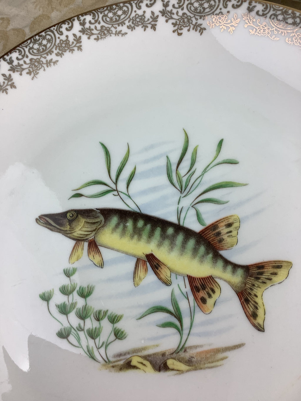 6 Assiettes plates anciennes Porcelaine France