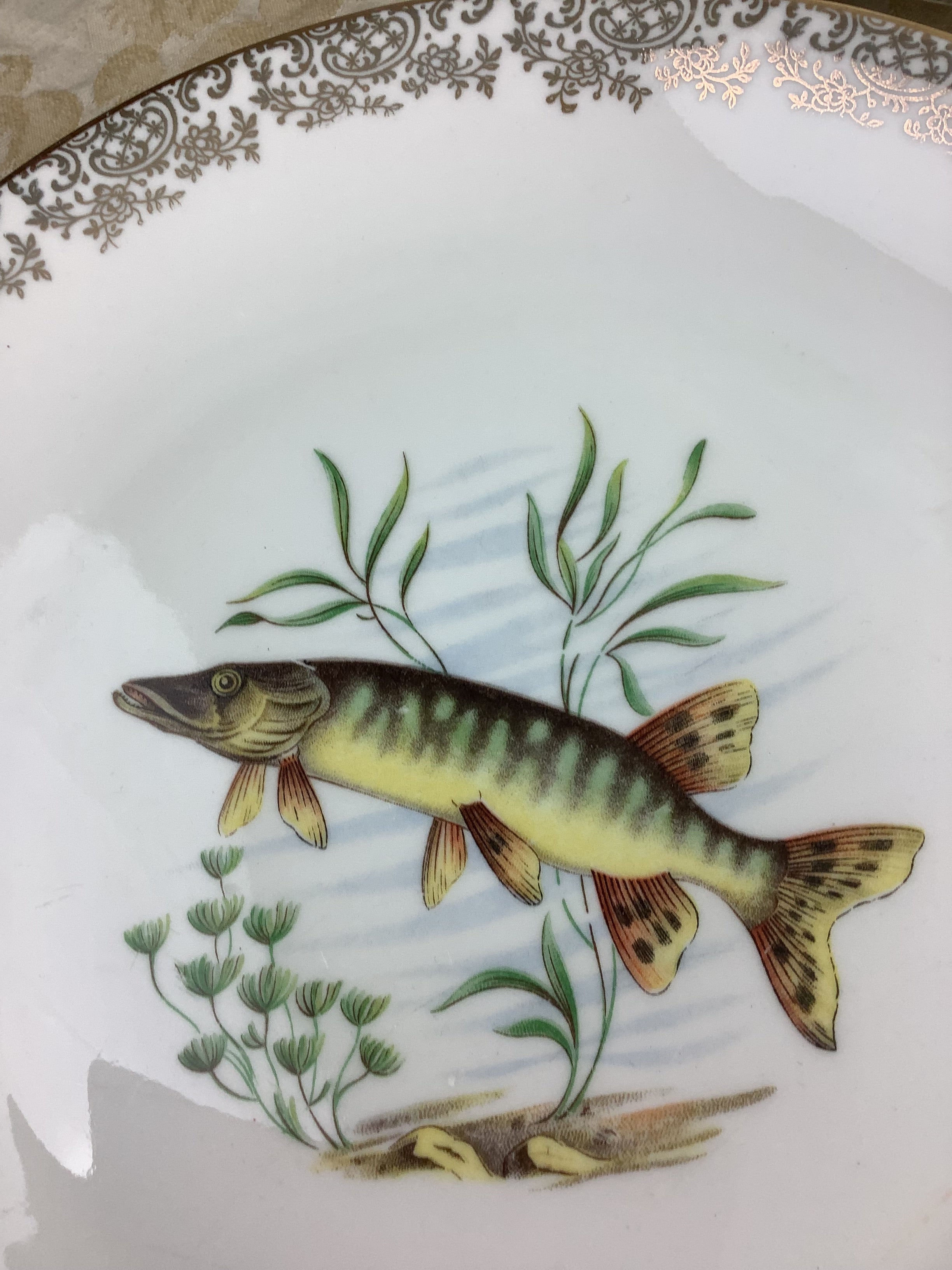 6 Assiettes plates anciennes Porcelaine France