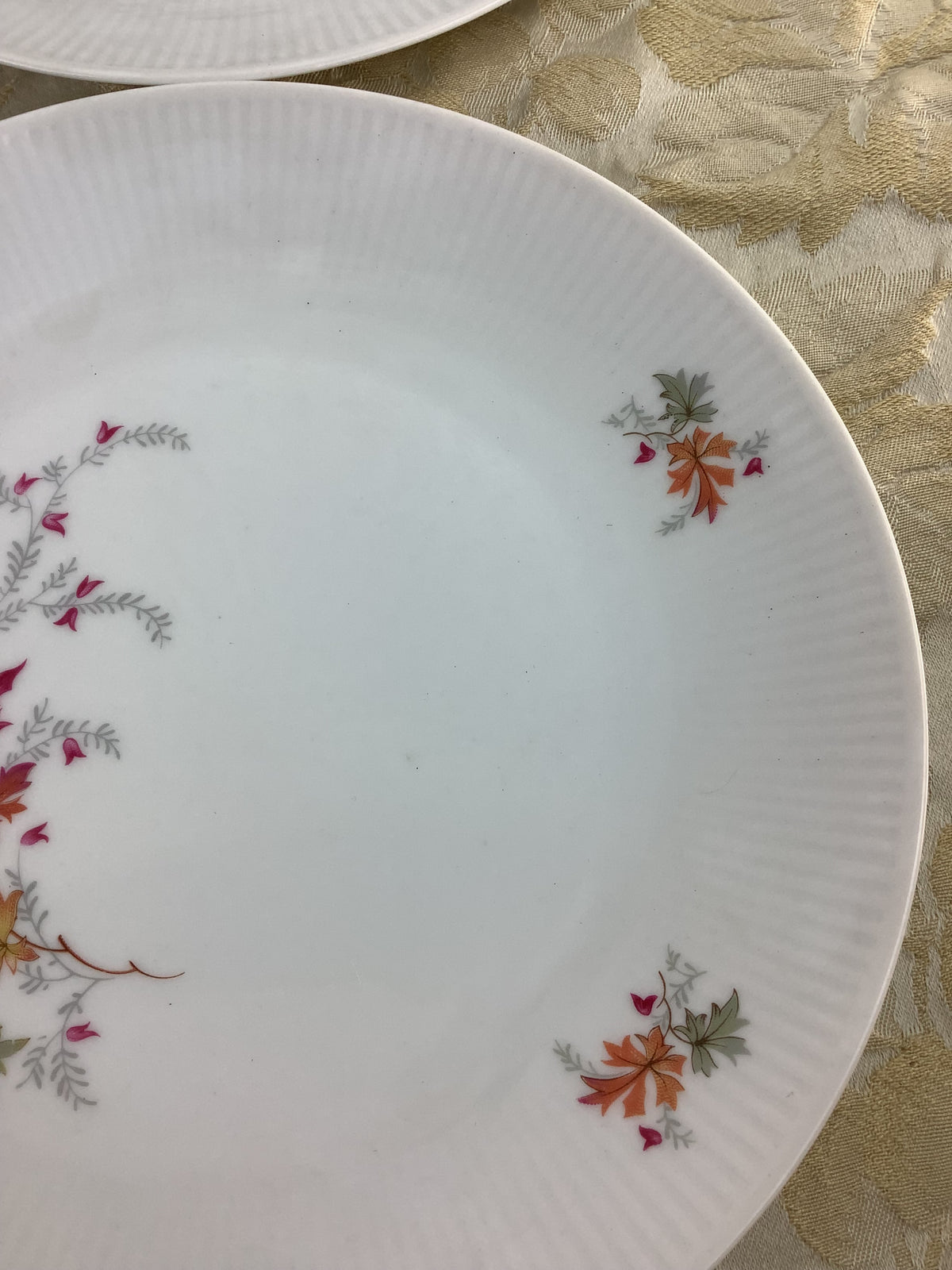 Lot de 6 assiettes à dessert anciennes en porcelaine Schumann Bavaria Germany, décor de feuillages d’automne – Réf. 15R