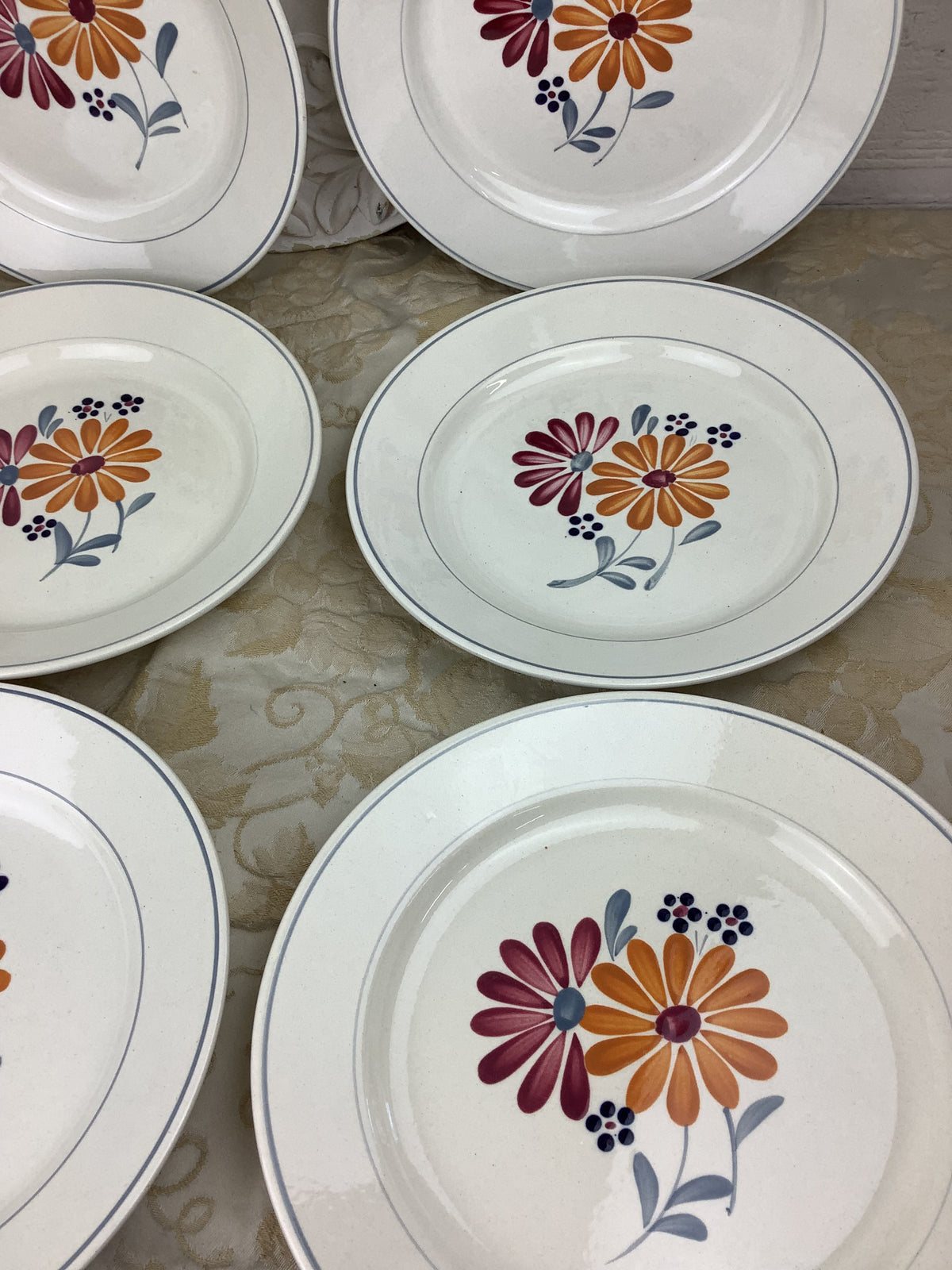 6 Assiettes plates anciennes Salins France -Ref 25X