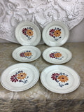 6 Assiettes à dessert anciennes Salins France -Ref 25Y