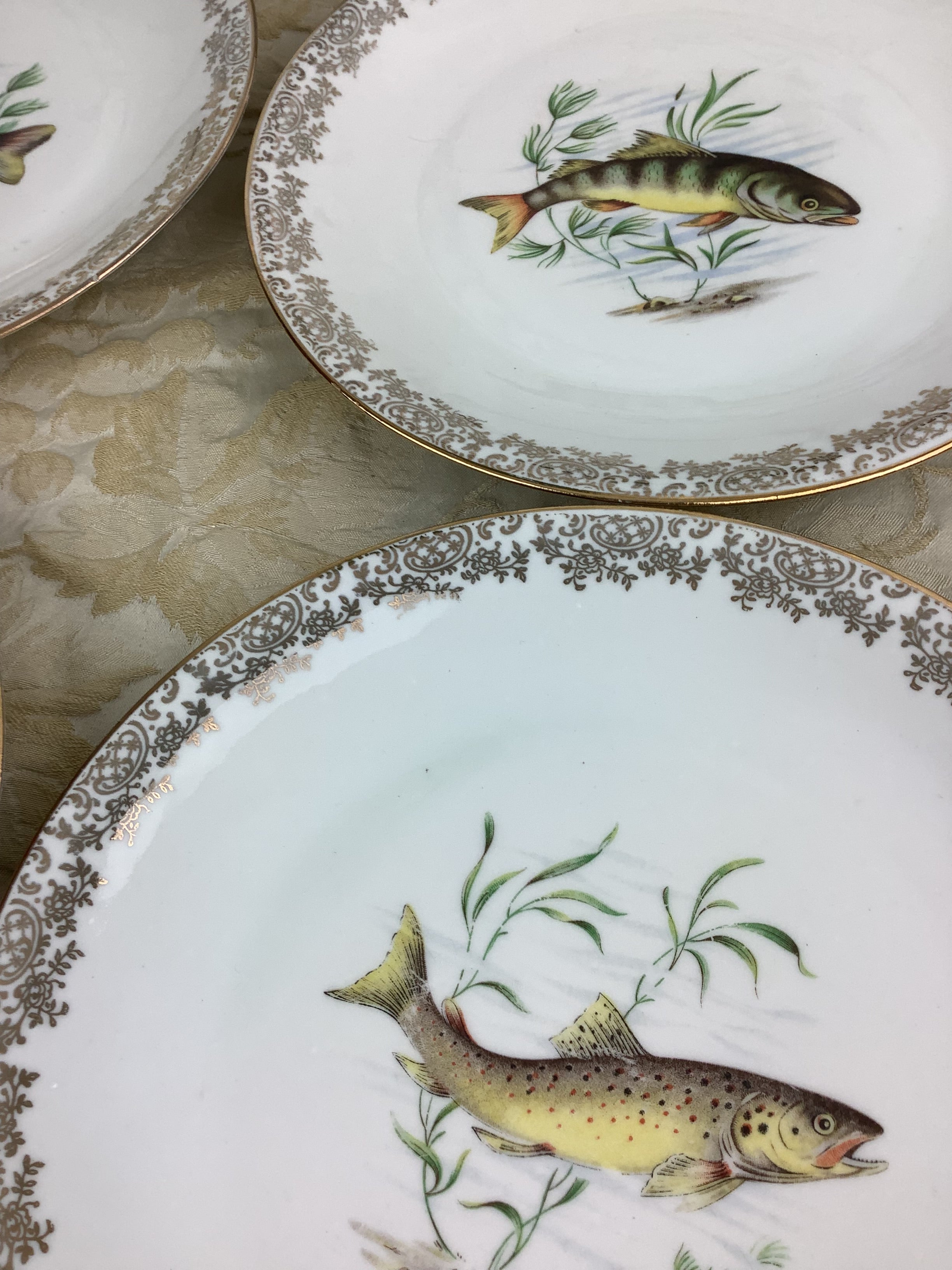 6 Assiettes plates anciennes Porcelaine France