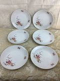 Lot de 6 assiettes à dessert anciennes en porcelaine Schumann Bavaria Germany, décor de feuillages d’automne – Réf. 15R