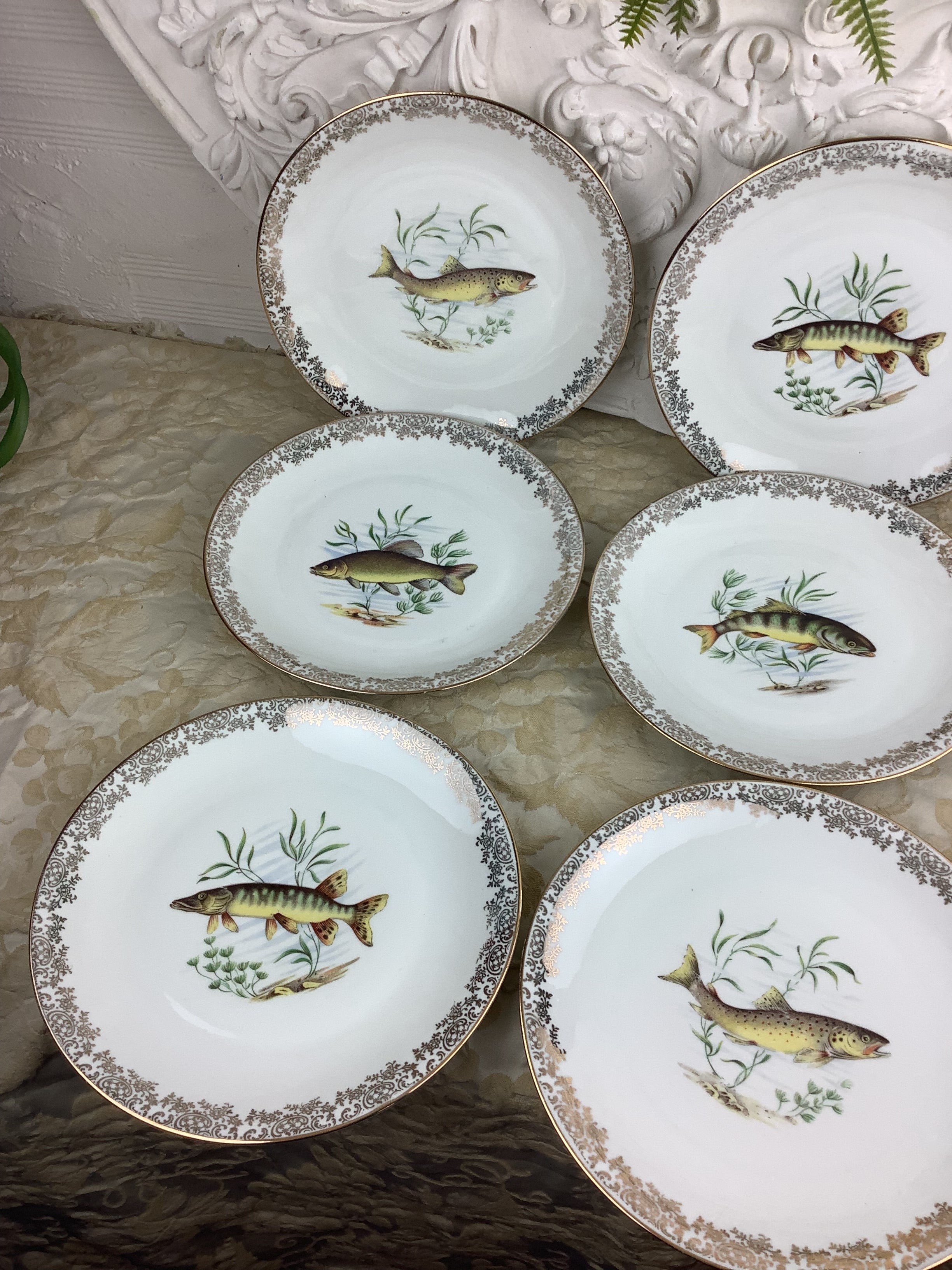 6 Assiettes plates anciennes Porcelaine France