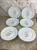 6 Assiettes plates anciennes Porcelaine de Limoges France